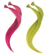 gid://shopify/Product/9866138845512_1